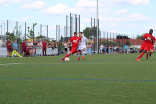 九游下载官网-荷兰队在国际赛场持续强势，晋级形势良好